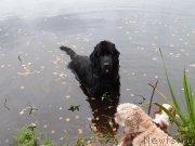 Превью фото № 135050