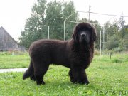 Превью фото № 135062