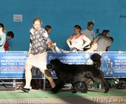 Превью фото № 135090