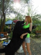 Превью фото № 135120