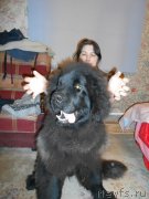 Превью фото № 135121