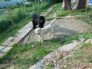 Превью фото № 135122