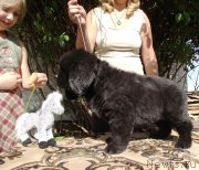 Превью фото № 135218