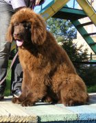 Превью фото № 135233