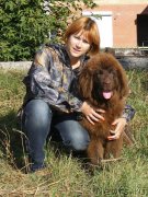 Превью фото № 135234