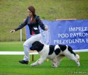 Превью фото № 135256