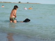 Превью фото № 135265