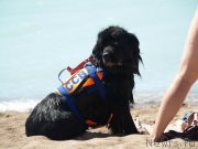 Превью фото № 135267