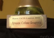 Превью фото № 135333