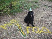 Превью фото № 135538