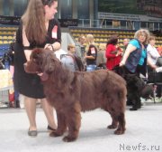 Превью фото № 135553