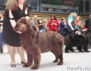 Превью фото № 135554