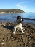 Превью фото № 135599