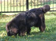 Превью фото № 135667