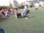 Превью фото № 135680