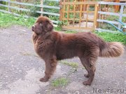 Превью фото № 135749