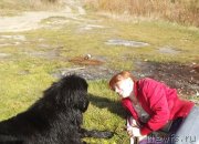 Превью фото № 135750