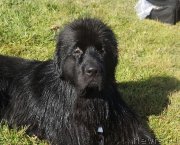 Превью фото № 135753