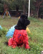 Превью фото № 135777