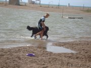 Превью фото № 135798