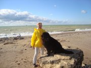 Превью фото № 135799