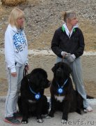 Превью фото № 135812