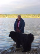 Превью фото № 135829