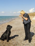 Превью фото № 135843