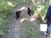 Превью фото № 135848