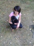 Превью фото № 135868