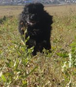 Превью фото № 135928