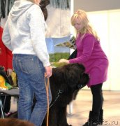 Превью фото № 135985