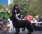 Превью фото № 136001