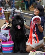 Превью фото № 136002