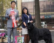 Превью фото № 136003