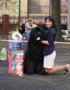 Превью фото № 136005