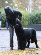 Превью фото № 136018