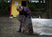 Превью фото № 136038