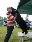 Превью фото № 136042