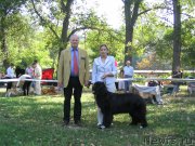 Превью фото № 136049