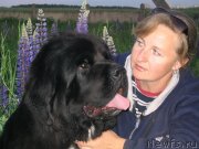 Превью фото № 136050