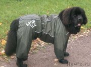 Превью фото № 136096