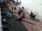 Превью фото № 136147