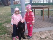 Превью фото № 136181