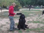 Превью фото № 136184