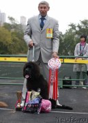 Превью фото № 136196