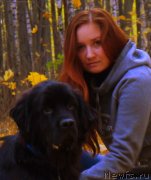 Превью фото № 136284