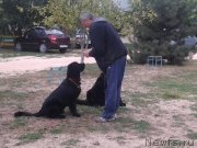 Превью фото № 136285