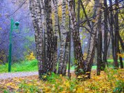 Превью фото № 136286