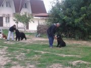 Превью фото № 136288